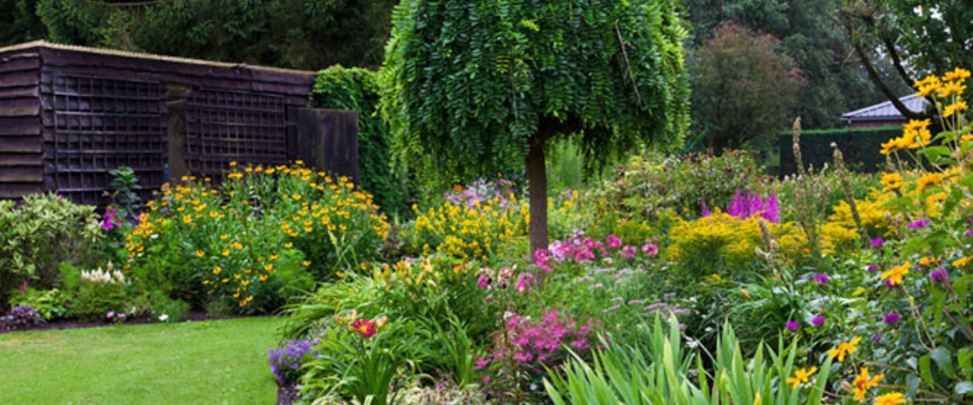How Landscaping Services Can Improve Home Energy Efficiency