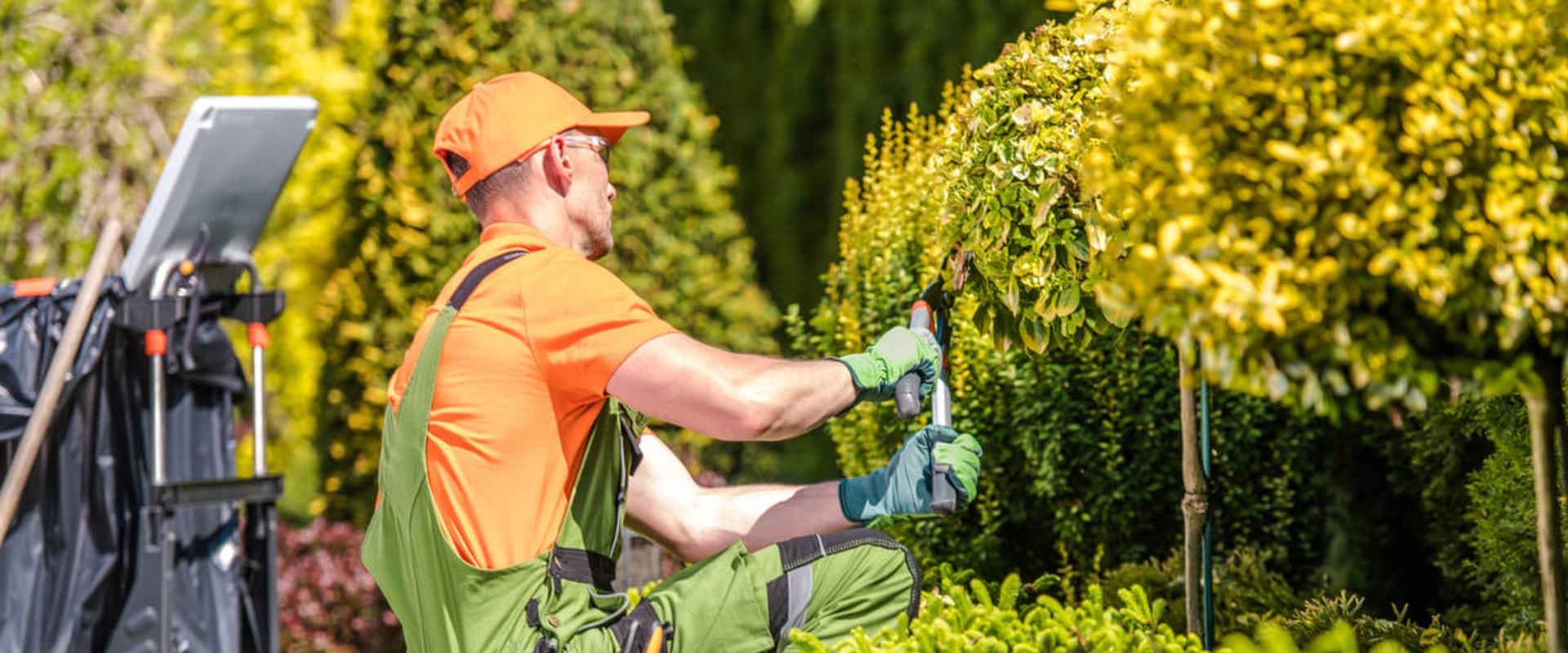 Coordinating Landscaping and Cleaning Services for Residential and Commercial Properties