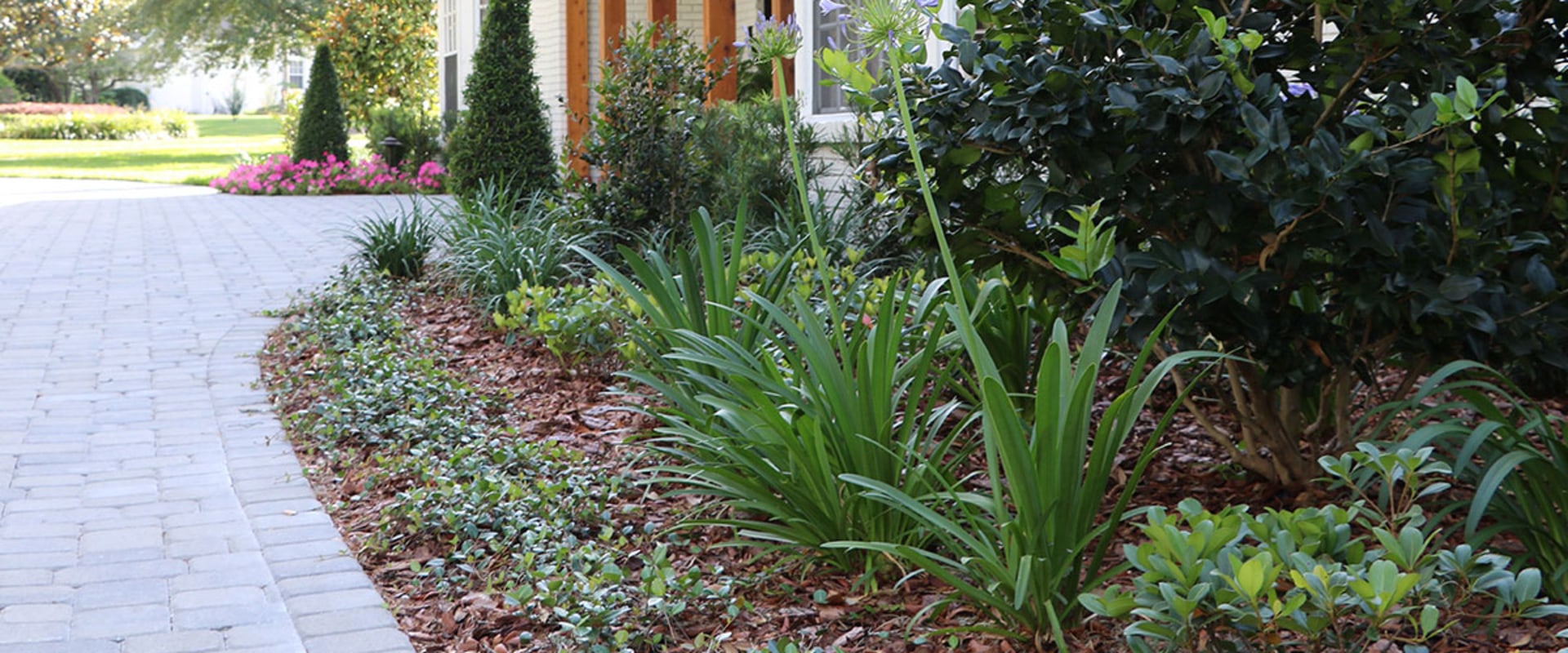 Transforming Orlando, FL: How Landscaping Services Elevate Outdoor Spaces