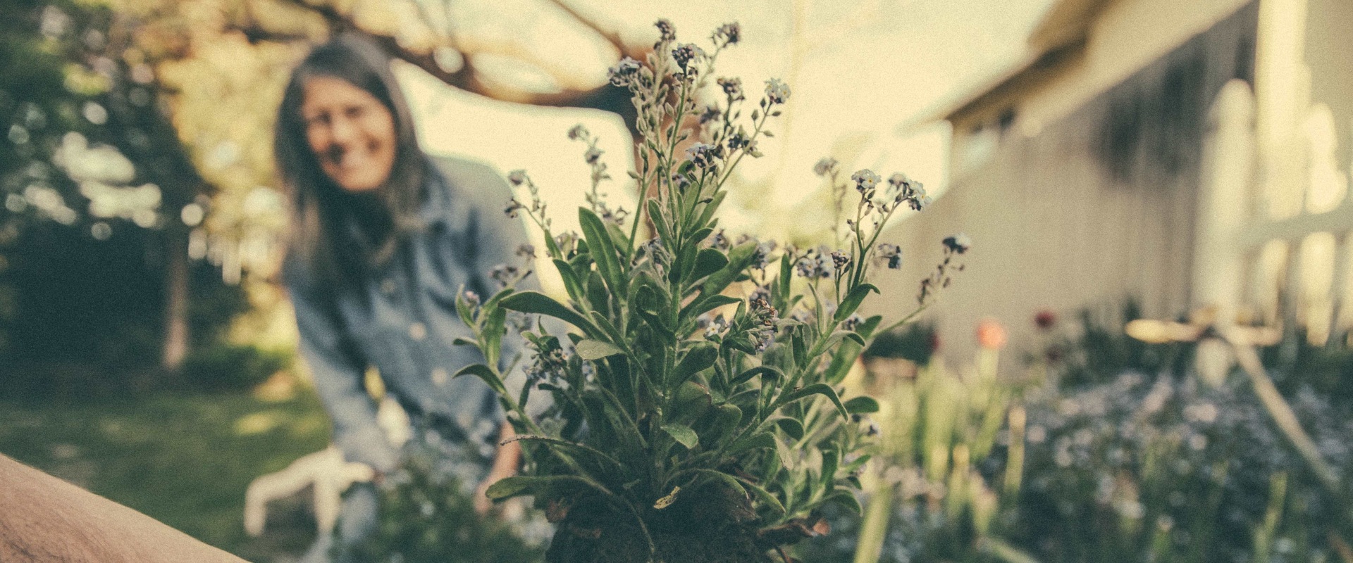 What are some responsibilities of a landscaper?