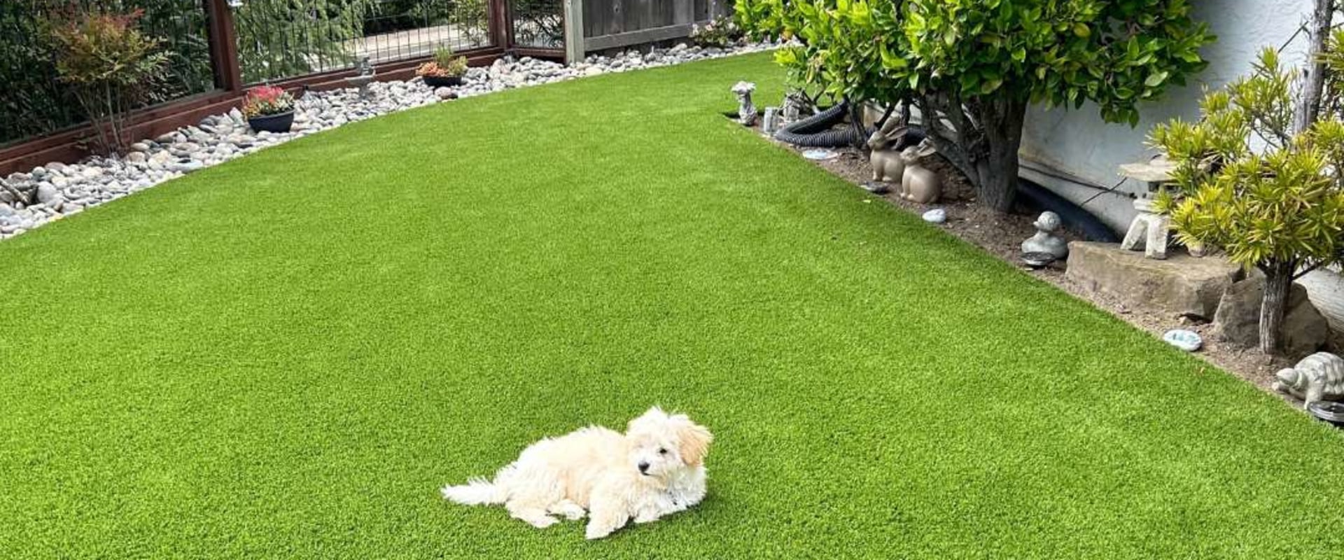 The Hidden Benefits of Landscaping Services for Homes With Pets and Children