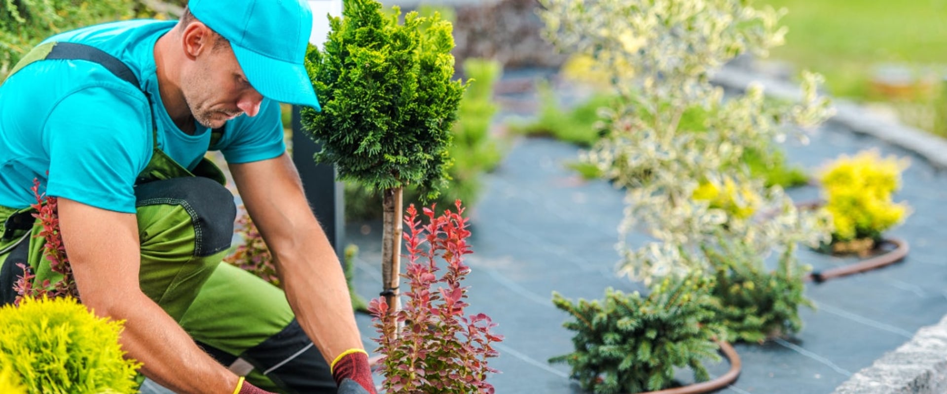 Do landscapers get a lot of money?