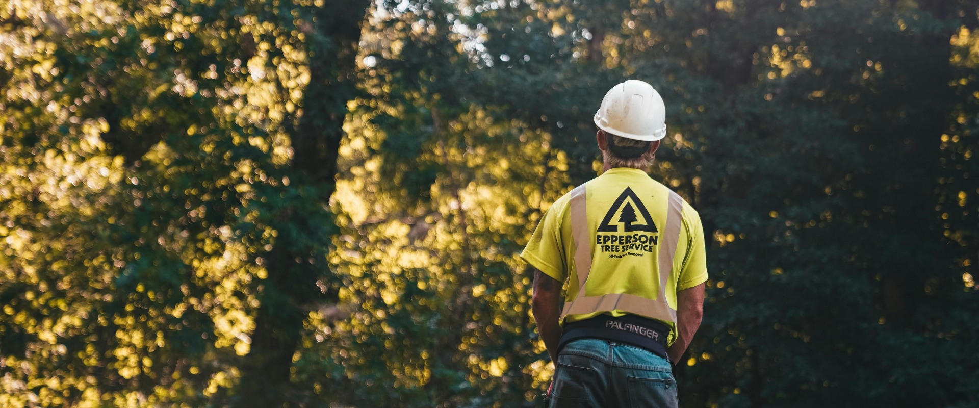 The Perfect Pair: Tree Service And Landscaping Services In Groveland, Massachusetts