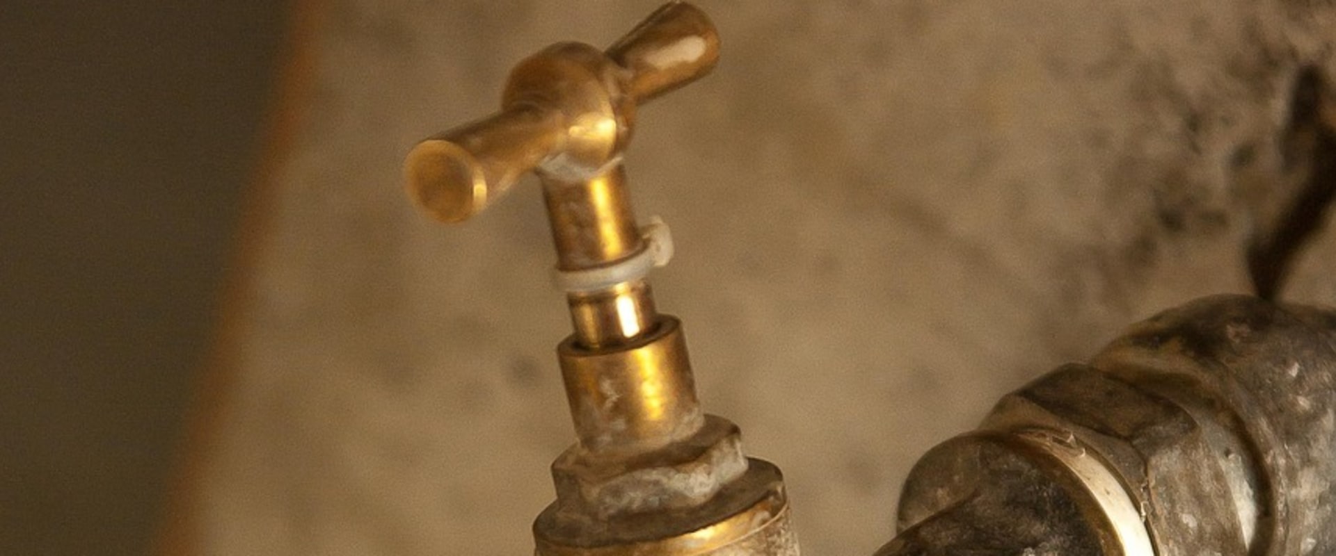 Enhance Your Home's Landscape with Quality Water Softening