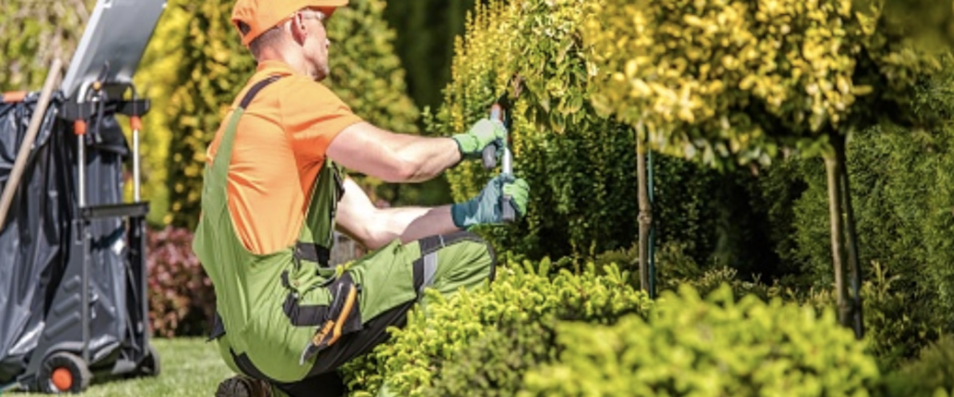 What is the most a landscaper can make?