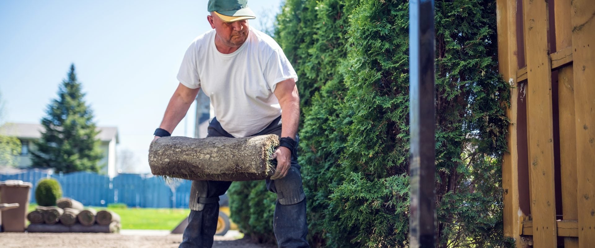 What skills do you need for landscaping?