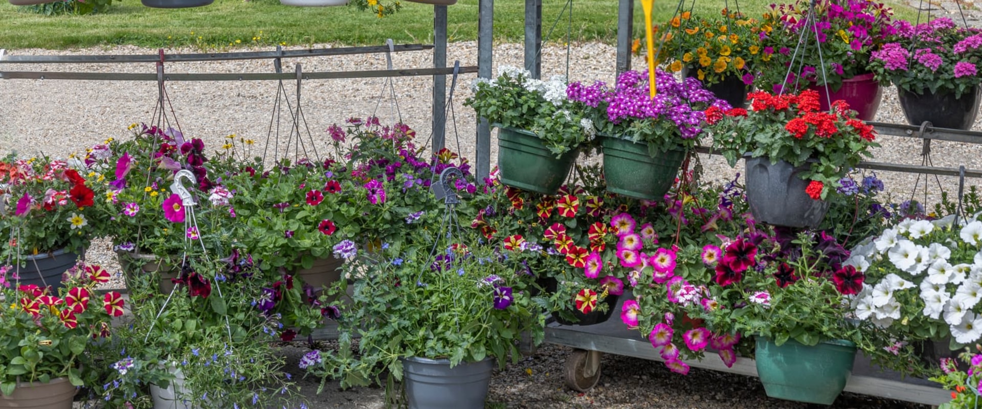 Revitalize Your Outdoor Spaces with Expert Landscaping in Waxhaw