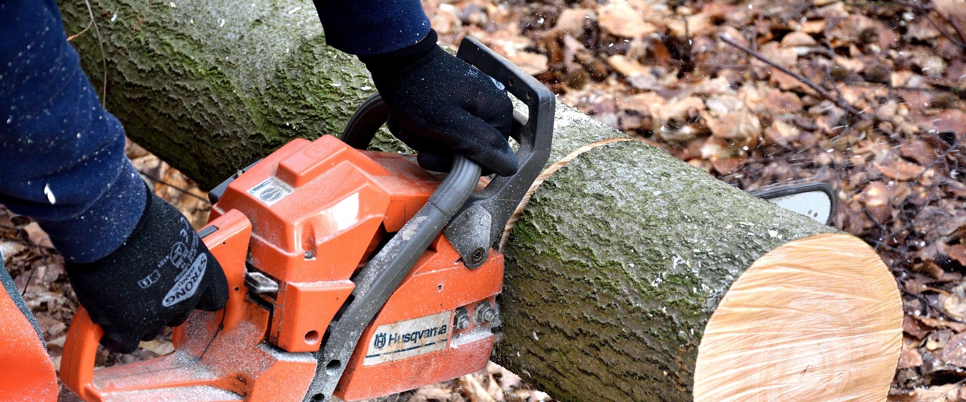 Professional Land Clearing Services in Virginia Beach