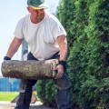 What services do landscapers provide?