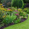 How Landscaping Services Can Improve Home Energy Efficiency