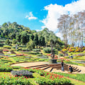 The Importance Of Professional Landscaping For Your Landscaping Services Needs In Pembroke Pines