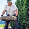 Can you get rich with a landscaping business?