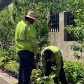 What qualities do you need to be a landscaper?