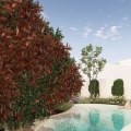 Garden Design in Rapperswil-Jona Shaped by Landscaping Services