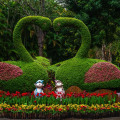Essential Tools That Every Professional Landscaper Must Have