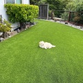 The Hidden Benefits of Landscaping Services for Homes With Pets and Children