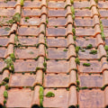 Transform Your Home with Expert Roof Moss Removal