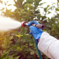 The Advantages Of Hiring A Calgary Wasp Control Provider For Your Needs In Landscaping Services
