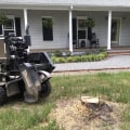 Why Stump Grinding Matters For Professional Landscaping Services In Damascus, OR