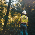 The Perfect Pair: Tree Service And Landscaping Services In Groveland, Massachusetts