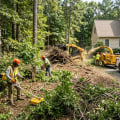 Landscaping Services with Expert Brush Removal in Columbia, MO