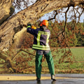 Effective Landscaping and Storm Damage Cleanup in Vancouver