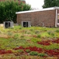 The Rarely Discussed Impact of Roofing Runoff on Landscape Design and Plant Health