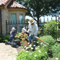 Expert Landscaping Services in Colleyville, TX