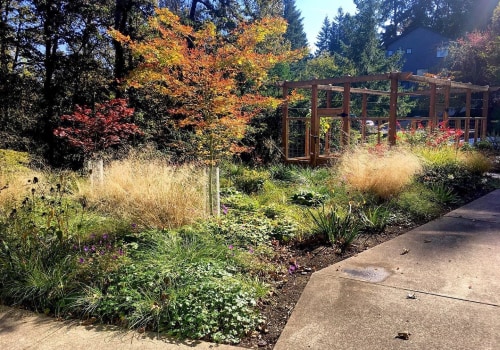 Beyond The Blooms: Maintaining Kingsbury's Beauty With Post-Landscaping Lawn Care Services