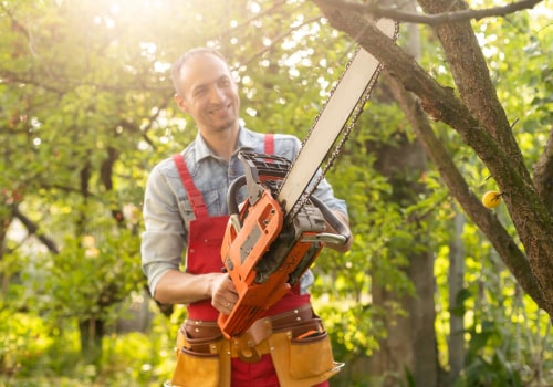 Enhance Your Property's Curb Appeal With Tree Trimming And Landscaping Services In Martinsburg
