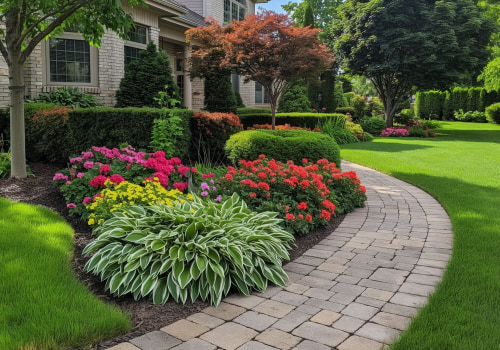 Landscaping Services That Add the Most Value to Your Property