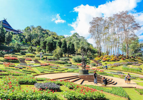 The Importance Of Professional Landscaping For Your Landscaping Services Needs In Pembroke Pines
