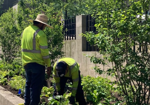 What qualities do you need to be a landscaper?