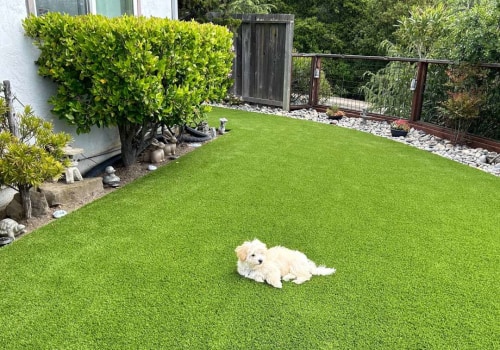 The Hidden Benefits of Landscaping Services for Homes With Pets and Children