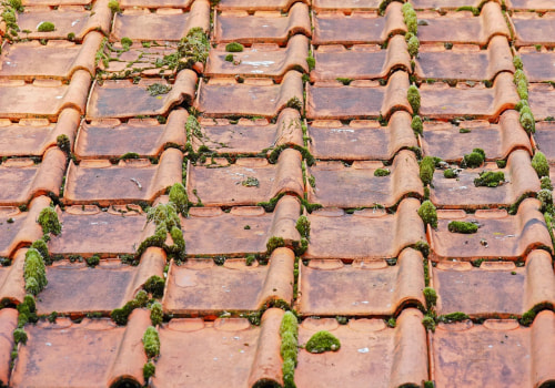 Transform Your Home with Expert Roof Moss Removal