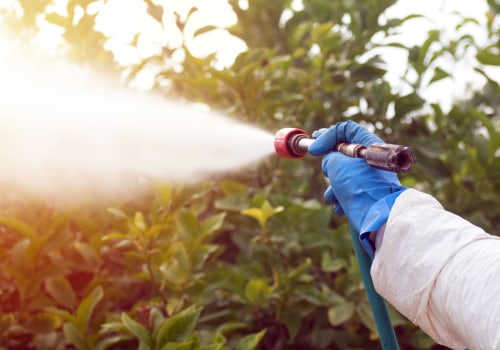 The Advantages Of Hiring A Calgary Wasp Control Provider For Your Needs In Landscaping Services