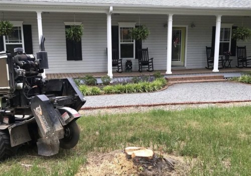 Why Stump Grinding Matters For Professional Landscaping Services In Damascus, OR