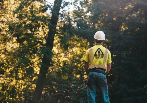 The Perfect Pair: Tree Service And Landscaping Services In Groveland, Massachusetts