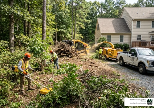 Landscaping Services with Expert Brush Removal in Columbia, MO