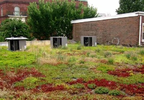 The Rarely Discussed Impact of Roofing Runoff on Landscape Design and Plant Health