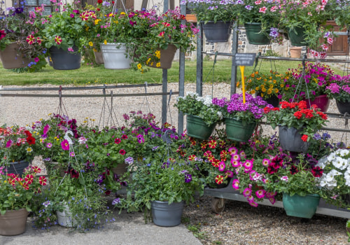 Revitalize Your Outdoor Spaces with Expert Landscaping in Waxhaw