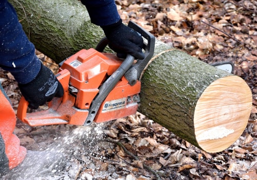 Professional Land Clearing Services in Virginia Beach
